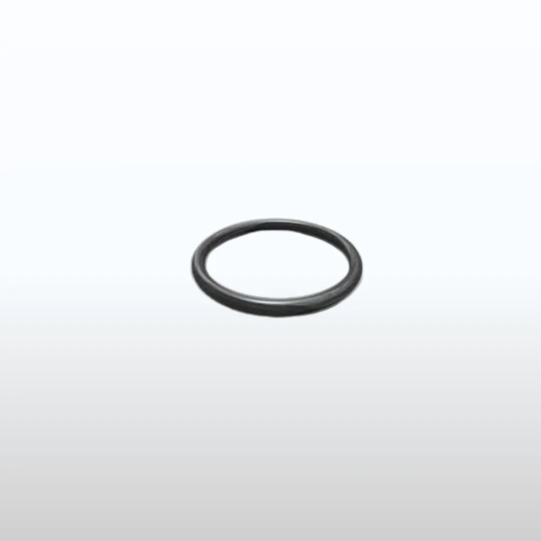 ORING 2,42X42 PH IDRAULICO RICAMBIO N 10